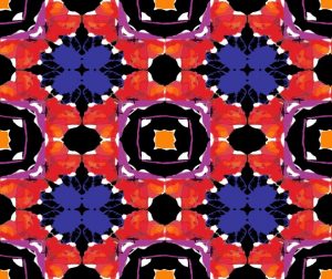 fed7c651b9860a3da95c485345806d42-595x500