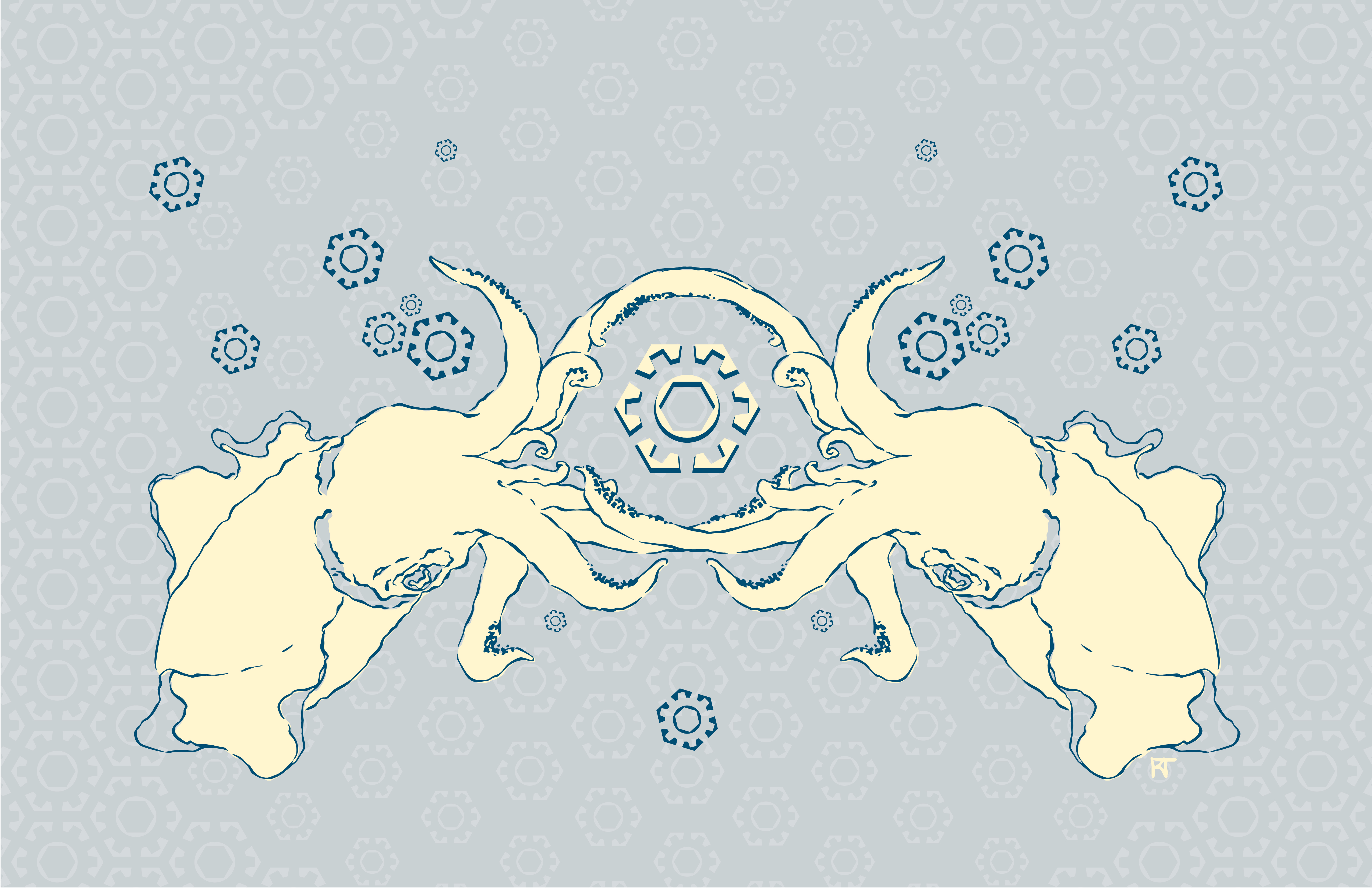 bigfin reef squid-01