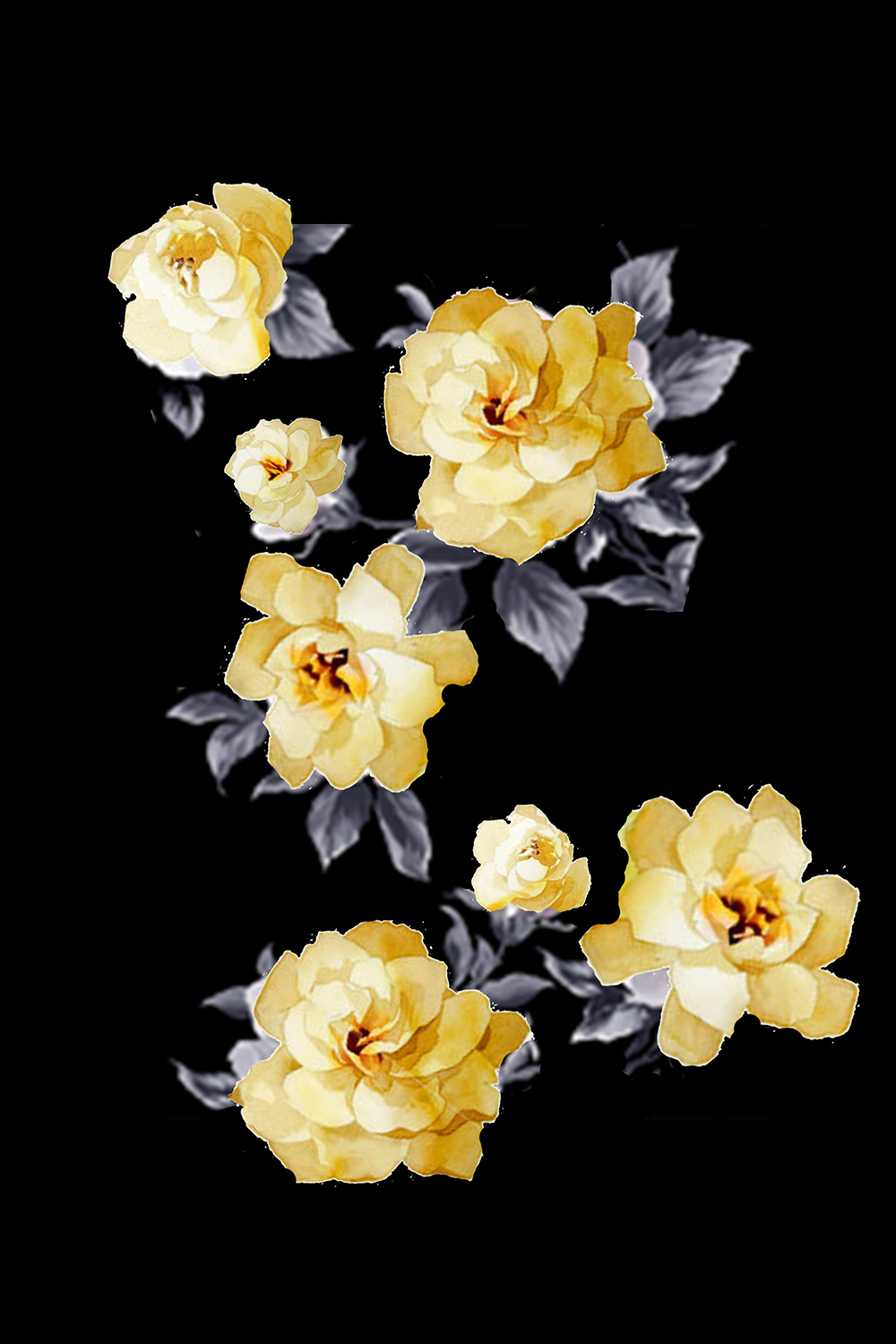 Romatic Roses